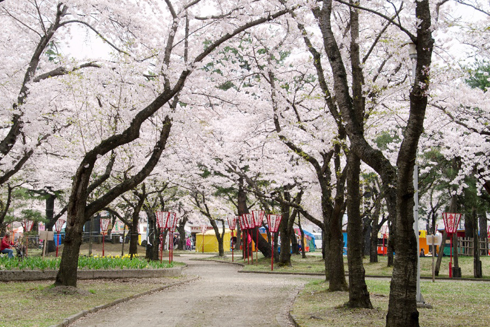 合浦公園