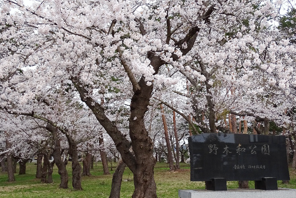 スタート地点：野木和公園